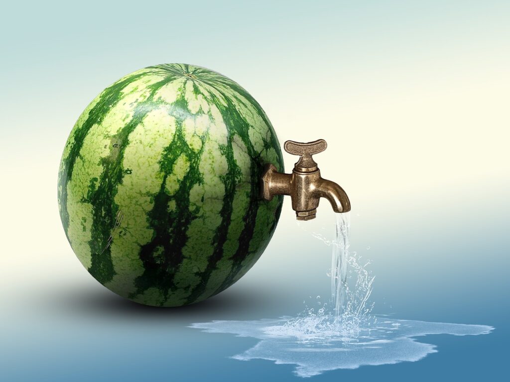 melon, water, hydration-3469415.jpg